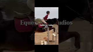 VcMarloweequine edit horsephotographer horseenthusiast horse [upl. by Lac]