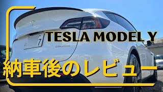 テスラ モデルY 納車して2週間！モデル3との違いや感じた事！正直レビュー！ [upl. by Salvucci]