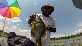 Shellcracker Fishing catching Huge Monster Slabs [upl. by Tormoria]