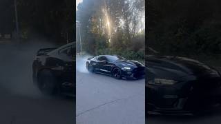 Mustang GT does a CRAZY burn out 🔥🔥shorts mustang cars [upl. by Woodford]