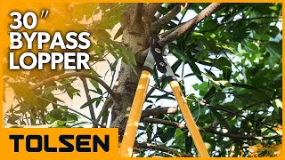 TOLSEN 30″ Bypass Lopper for Tree Trimming [upl. by Ayiram]