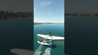 MSFS  Savoia Marchetti Flying Boat  Cancun Mexico Coast  🏖️ shorts [upl. by Kirkpatrick]