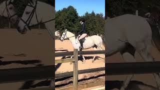 2024 Belfair Schooling Show Warm Ups 2 [upl. by Melia416]