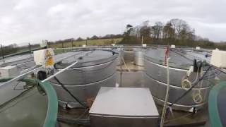 UKCEHs Aquatic Mesocosm Facility for experimental science [upl. by Simon499]