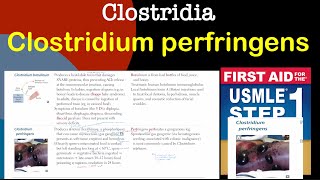 Clostridium perfringens in HindiUrdu by first aid for USMLE step 1 [upl. by Katherine]