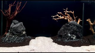 La Première Aquascape Tank Dark Start Method Update  AquaEden Insights [upl. by Standush]