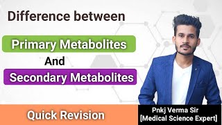 Primary and Secondary Metabolites  Hindi  Biology [upl. by Arodaeht]