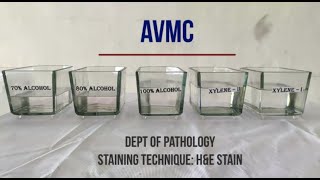 Hematoxylin amp Eosin Staining Procedure Principle with Video Lecture [upl. by Yrennalf]