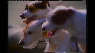 Kibbles n Bits Commercial  1996 [upl. by Sabanrab]