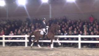 Estoril kwpn  Zhivago X Gribaldi  Stallion Show Van Uytert 2014 [upl. by Nilkcaj698]