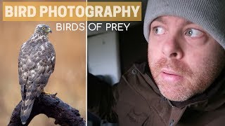 BIRD PHOTOGRAPHY  back to photograph birds of prey [upl. by Firooc888]