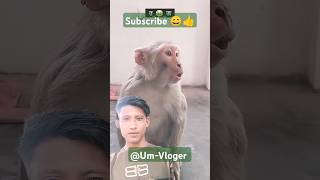 Ajkal Banor ra o Pora lekha korche😄😄 comedy funny surajroxfunnyvibeo comedymoments [upl. by Minnnie269]