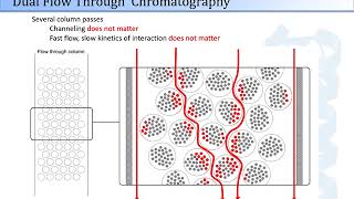 PhyNexus Dual Flow Chromatography Technology for Automated Protein amp DNA Sample Prep [upl. by Uase467]