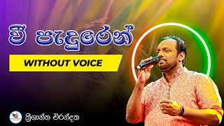 Vee Paduren Igili Yana Karaoke Without Voice with Lyrics  Krishantha Erandaka [upl. by Towny]