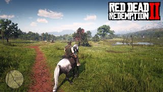 John Visits Rhodes  Red Dead Redemption 2 [upl. by Elli]