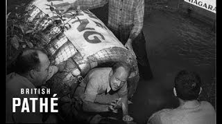 Trip over Niagara Falls in Barrel 1951 [upl. by Lombardi341]