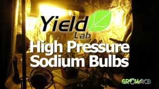 HPS Grow Bulb Review Yield Lab High Pressure Sodium HPS Bulb Hydroponics GrowAcecom [upl. by Asel295]