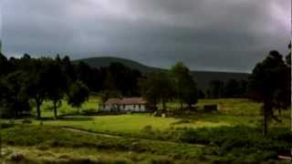 Dolores KeaneDown By The Salley Gardens  Dancing At LughnasaIrish Film Orchestra [upl. by Piks516]