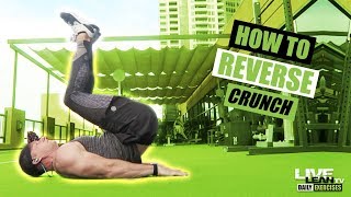 How To Do A REVERSE CRUNCH  Exercise Demonstration Video and Guide [upl. by Atinrehs488]