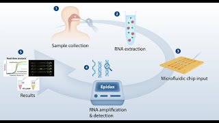 Exploring the Applications and Advantages of Microfluidics Technology 3 Minutes [upl. by Nilac317]