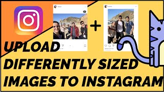 How to Upload Multiple Photos without Cropping to Instagram [upl. by Ial]