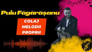 Puiu Făgărășanu ❌Colaj Melodii Proprii❌ [upl. by Nisa]