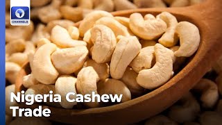 Nigeria Cashew Trade Rises In Q2 [upl. by Esened]