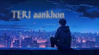 Teri aankhon lofi song [upl. by Navets]