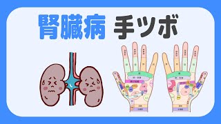 「腎臓病」に効果のある手ツボ（反射ゾーン） [upl. by Wivinah]