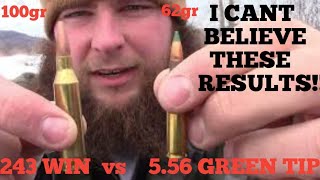 556 Nato Green Tips VS 243 Win Penetration test which round is best [upl. by Ffoeg]