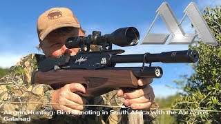 Airgun Hunting Bird Shooting in South Africa with the Air Arms Galahad [upl. by Okiruy693]