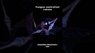 Funguscontrolled robots [upl. by Reifel459]