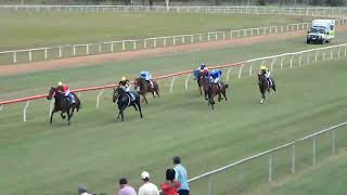 Mareeba 20240526 Race 3 [upl. by Eityak]