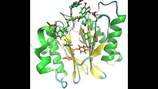 C00033033Leishmania tarentolae proteasome 20S subunit 6QM7 Molecular Dynamics Simulation [upl. by Aloz647]