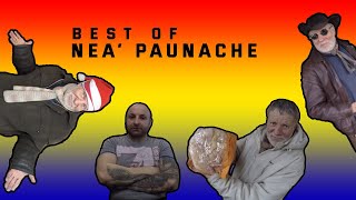 Best of Nea Paunache [upl. by Eberhard440]