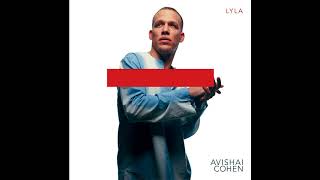 Avishai Cohen  Ascension [upl. by Delilah]