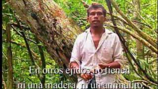 CONABIO Documentales  Cuidar la Selva y hacerla Producir  Si hay solución 67 [upl. by Dareen705]