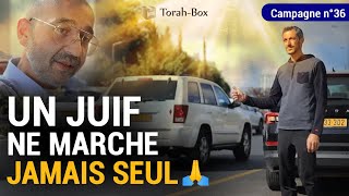 Un Juif Ne Marche Jamais Seul 🙏 Campagne n°36 [upl. by Proffitt]