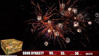 06470 Song Dynasty vuurwerk [upl. by Zerline]