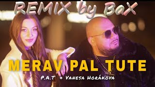 PAT x Vanesa Horáková  Merav Pal Tute REMIX by BaX [upl. by Renita94]