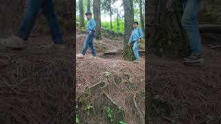 pine forest vagamon ZANSTRAVEL dance viral acting keralatourismexplore forest [upl. by Notkcorb]