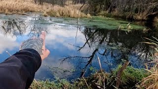 “BEAVERS OCEANIC FAULT” Beaver Dam Removal Completely Restores Flow [upl. by Romaine352]