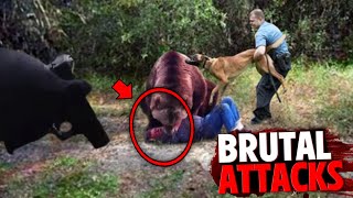 The Most INSANE LifeEnding Bear Attacks MARATHON [upl. by Llennor]