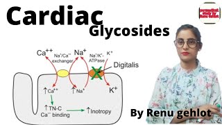 Cardiac Glycosides  cardiac Glycosides in hindi  congestion heart failure [upl. by Joachim]