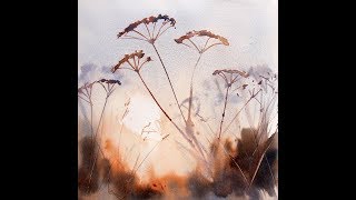 Autumn Cow Parsley Watercolour Demonstration [upl. by Spaulding]