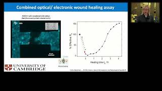 Bioelectronics sample lecture [upl. by Theodore]