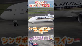 🟢セントレア空港✈️スカイデッキ見どころ満載👀‼️ぼーっとしてられない😆🩵セントレア 中部国際空港 takeoff エアライン 飛行機 jal シンガポール航空 shorts [upl. by Aina]