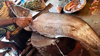 17 kg Giant Wallago Attu Boal Fish Cutting With Huge Eggs  Fish Cutting Skills [upl. by Orlan]