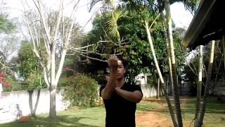 Vitor V  Zyzz Dance Tutorial BRAZIL [upl. by Eerhs502]