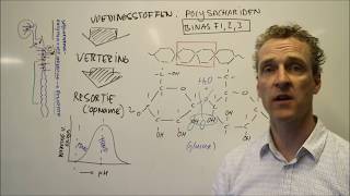 Hoe worden koolhydraten verteerd [upl. by Baylor472]